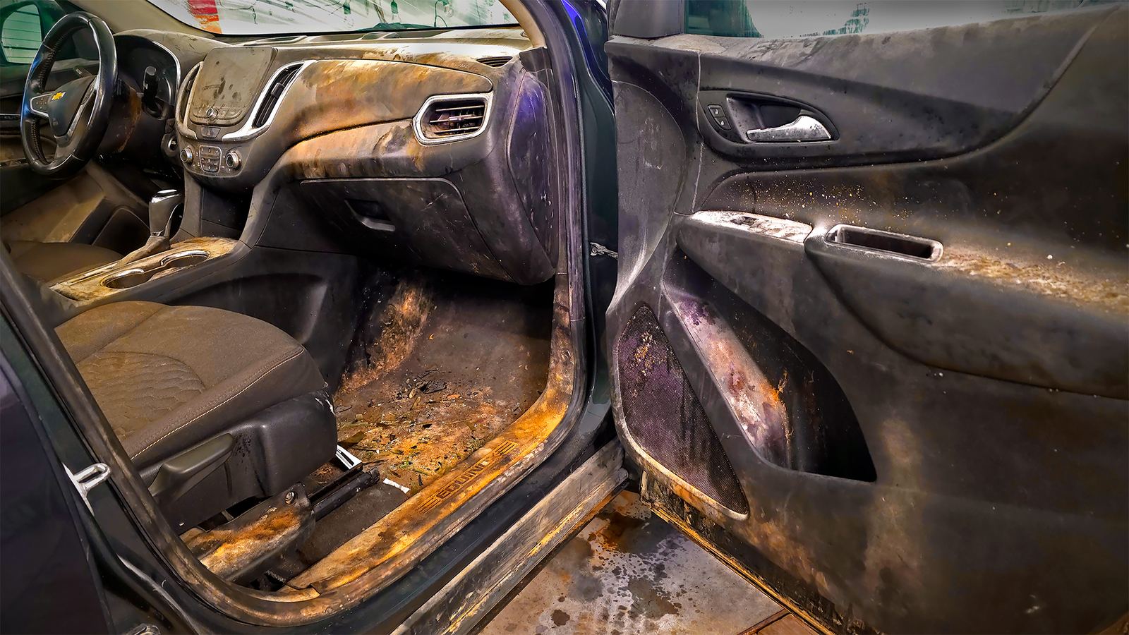 True Detailer studio